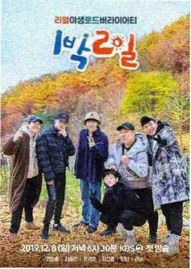 光影歌会 综艺 2026
